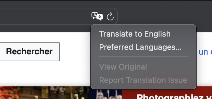 Safari translation options