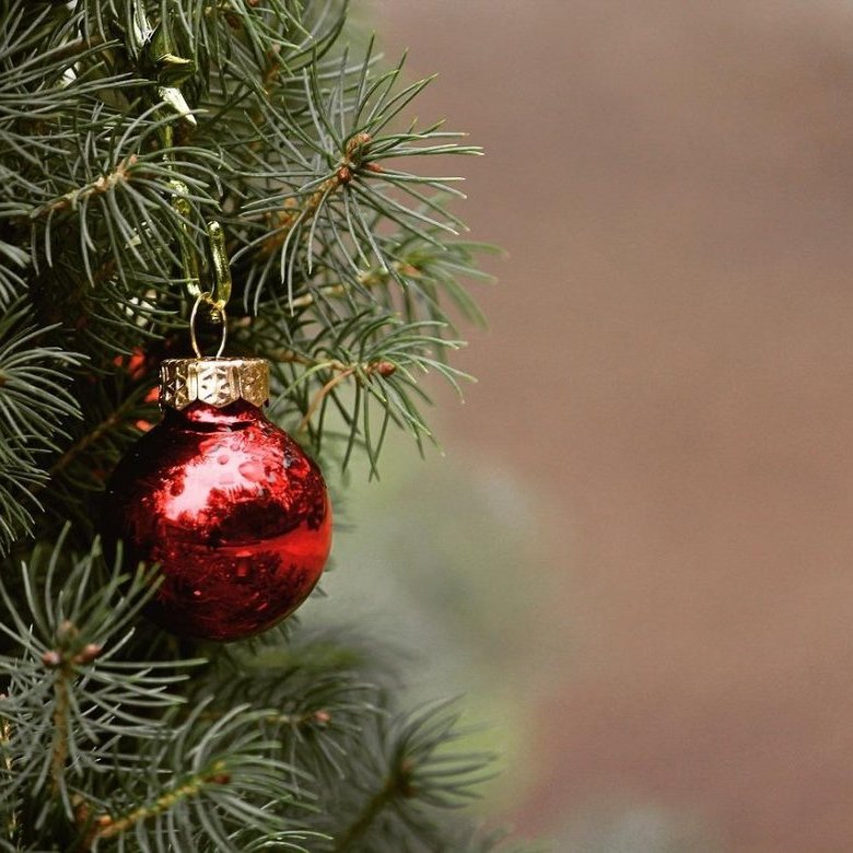 A closeup of a Christmas tree bauble